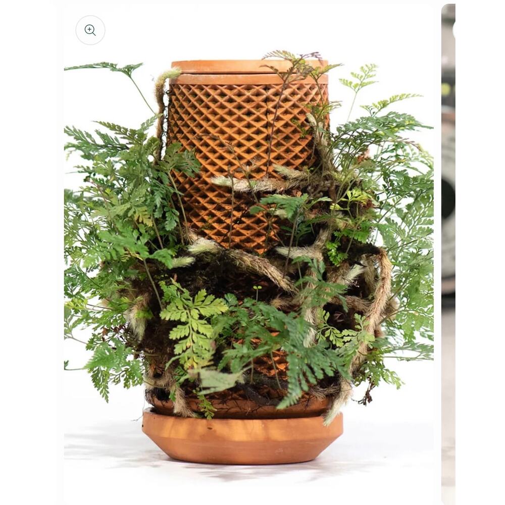 Teva self watering planter soil free terracotta orchids ferns 8.5” indoor garden - Picture 5 of 7